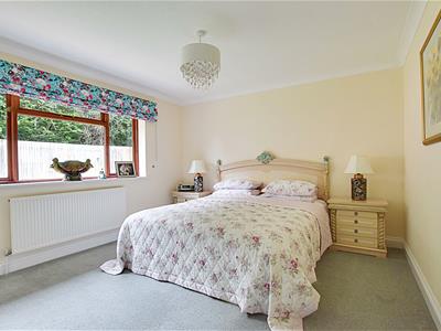 Picture 13